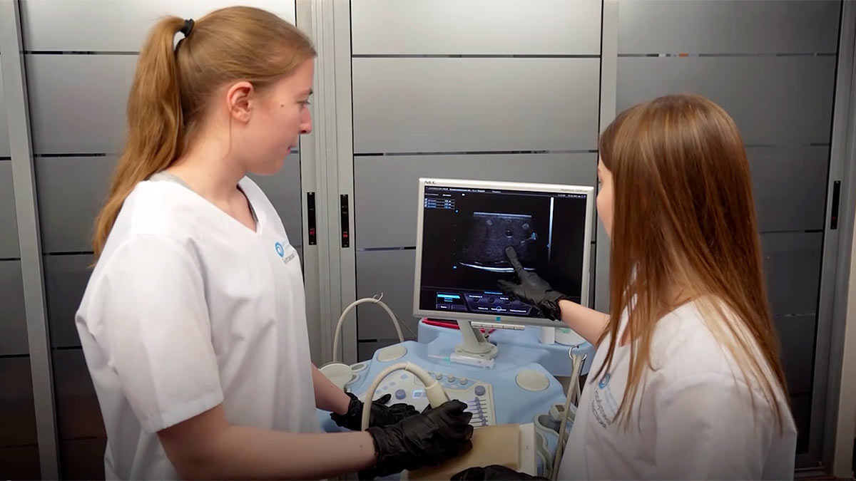 Тренировочный фантом, имитирующий сосуды и нервы человека