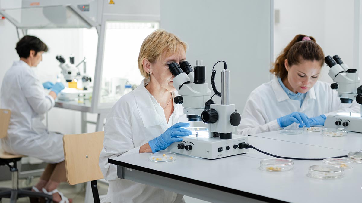 Университет «Сириус»